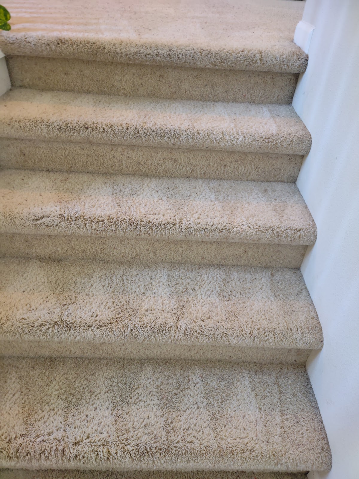 Carpeted stairs cleaned to an even, fresh tone