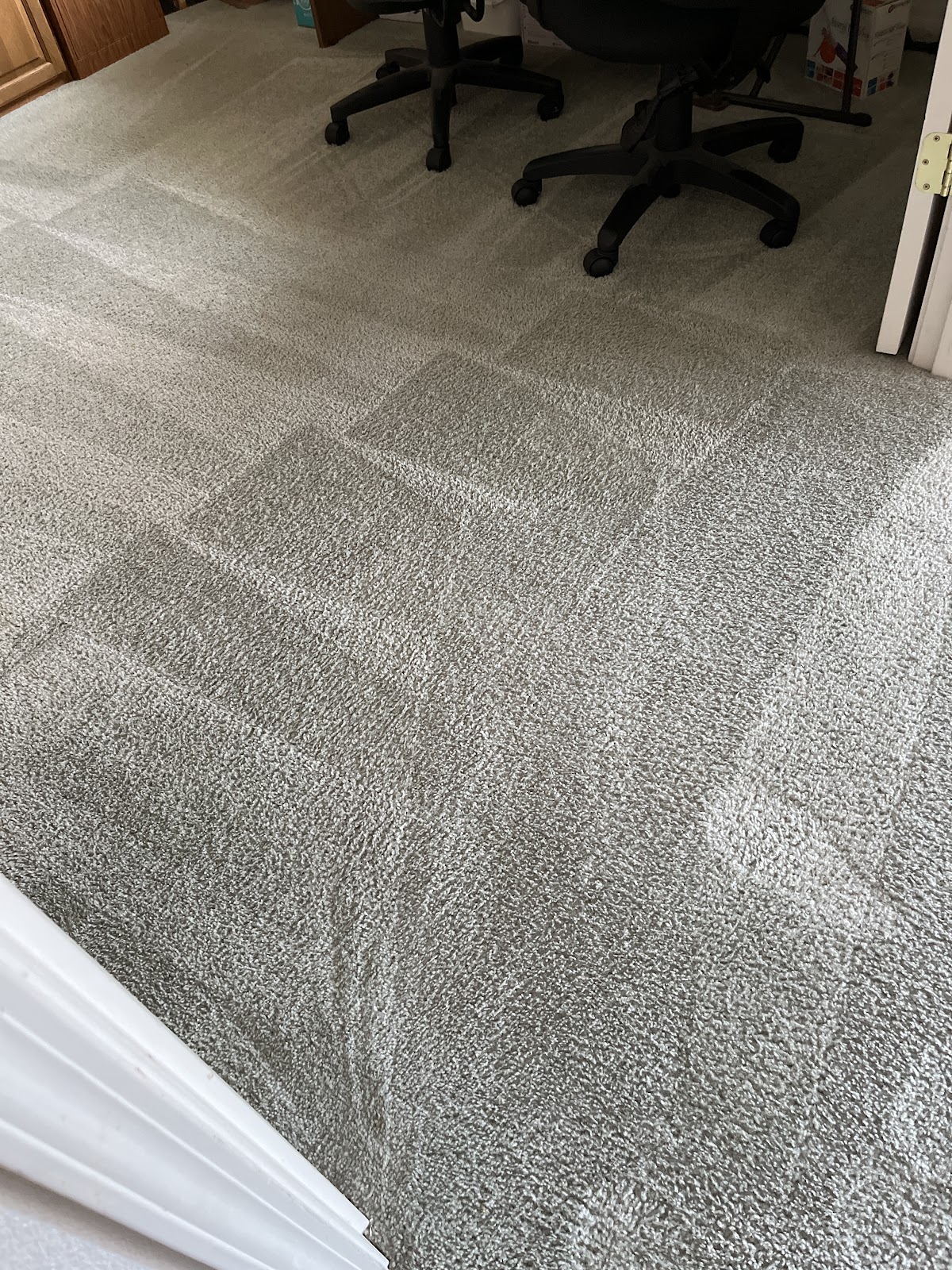 Freshly cleaned carpet with crisp vacuum lines